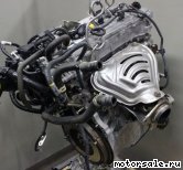  8:  (/)  Toyota 3ZR-FAE