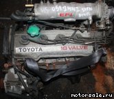  4:  (/)  Toyota 4S-FE (Old Type)