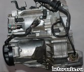  3:    ,  (/)  Honda Civic (FD1)