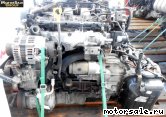  21:  (/)  Hyundai D4EA