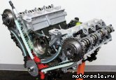  3:  (/)  Ford 4.6l, Modular SOHC V8 (Explorer), 3V