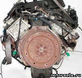  5:  (/)  Ford 4.6l, InTech, Modular DOHC V8 (Explorer), 4V