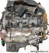  6:  (/)  Ford 4.6l, InTech, Modular DOHC V8 (Explorer), 4V