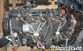  1:  (/)  Volvo D5244T13