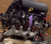  4:  (/)  Chevrolet L33