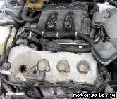  3:  (/)  Mazda Duratec 37