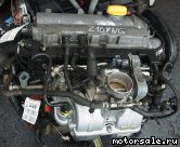 1:  (/)  Opel Z16YNG