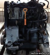  1:  (/)  Volkswagen (VW) ANN, ANP