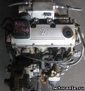  2:  (/)  Volkswagen (VW) 2E