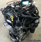  5:  (/)  Volkswagen (VW) CHHB