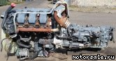  3:  (/)  Mercedes Benz 541.923 (541923)