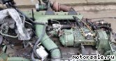  3:  (/)  Mercedes Benz 447.980 (447980)