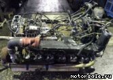  1:  (/)  Mercedes Benz 447.979 (447979)