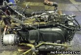  2:  (/)  Mercedes Benz 447.979 (447979)
