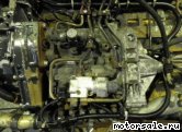  5:  (/)  Mercedes Benz 447.979 (447979)