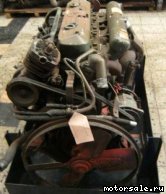  1:  (/)  Mercedes Benz 366.979 (366979)