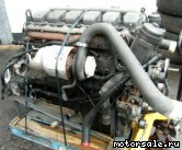  3:  (/)  Mercedes Benz 457.937 (457937)
