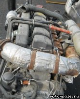  7:  (/)  Mercedes Benz 457.944 (457944)