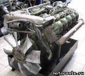  2:  (/)  Mercedes Benz 423.905 (423905)