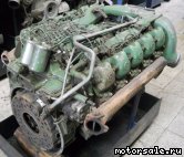  4:  (/)  Mercedes Benz 423.905 (423905)
