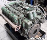  5:  (/)  Mercedes Benz 423.905 (423905)