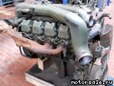  1:  (/)  Mercedes Benz 442.980 (442980)
