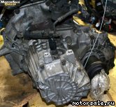  2:    (/) Hyundai Avante, Elantra, Spectra, M5BF2 (G4GC)