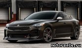  2:  Kia Stinger I (CK)