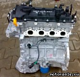  1: G4LF