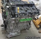  2: G6DU