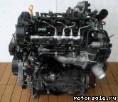  1: D4FE