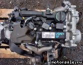  3: G4KL