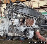 ���� �4: OM651 651.924