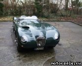  1:  Jaguar C-Type Proteus
