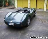  3:  Jaguar C-Type Proteus