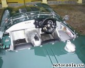  4:  Jaguar C-Type Proteus