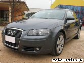  4:  Audi A3 II Sportback (8PA)