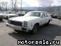 Chevrolet () Chevelle Malibu Classic Wagon, 1975:  3