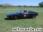 Lamborghini ( ) Jalpa:  2