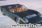 Lamborghini ( ) Miura Roadster:  2