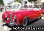 Delahaye () 175S Chappron Cabriolet:  1