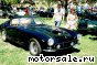Ferrari () 250 SWB Berlinetta:  1