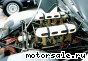 Porsche () 908-02, 1970:  3