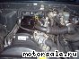 Volkswagen (VW) () Taro:  3