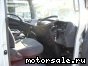 Isuzu () Elf NPR85:  3