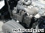 Isuzu () Elf NKR71E:  5
