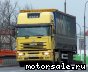 Iveco () TurboStar:  3