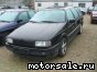 Volkswagen (VW) () Passat Variant III, IV (3A5, 315):  4