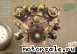 Toyota () 1UZ-FE (VVT-I):  2