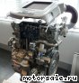 Nissan () YD25DDTI:  1